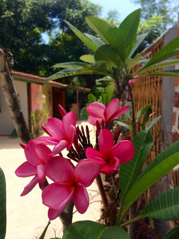Villas Samalama Gili Air Luaran gambar